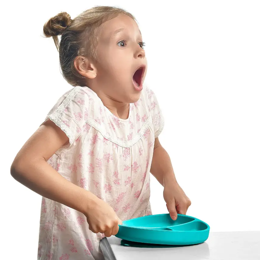 OiOi Porsiyon Vakumlu Mama Tabağı Velvet Rose - 5