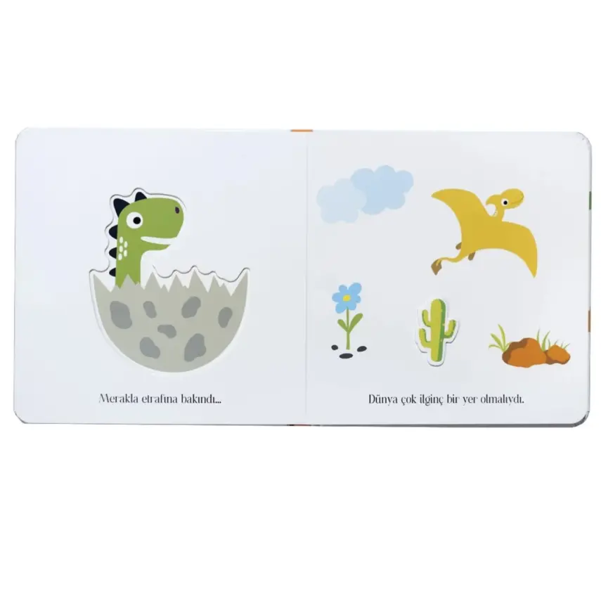 Pencereli Dokun Hisset-Küçük Yeşil Dinozor - 2