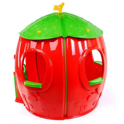 Pilsan Çilek Ev (1)