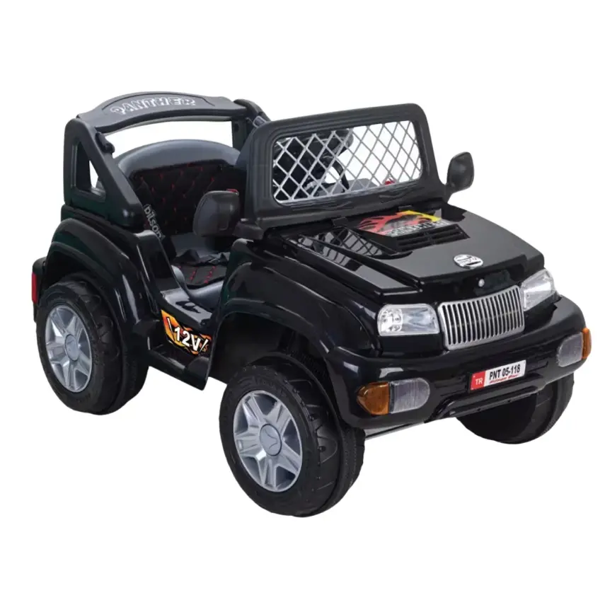 Pilsan Panther Akülü Araba Kumandalı 12 Volt Siyah - 1