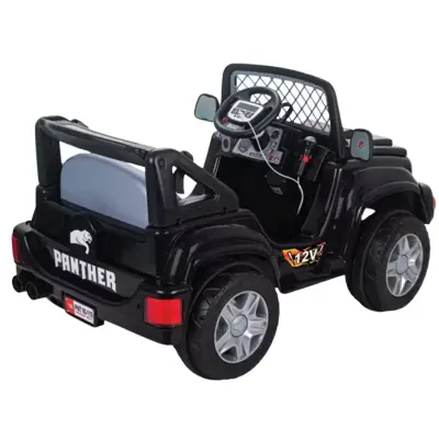 Pilsan Panther Akülü Araba Kumandalı 12 Volt Siyah (1)