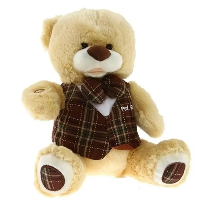 Profesör Bobo Konuşan İnteraktif Peluş Ayıcık 30 cm - 1