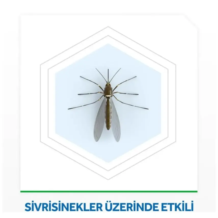 Raid Elektro Likit 45 Gece Sistem 35 ml - 2