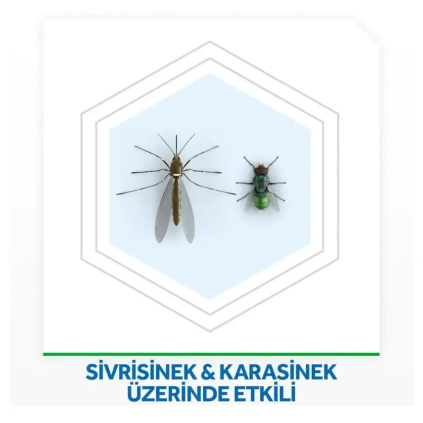 Raid Gece&Gündüz Sistem  - 2