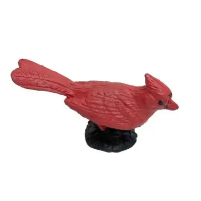 Silindir Kutuda Kuşlar (1)