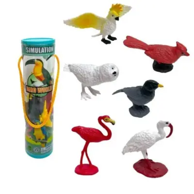 Silindir Kutuda Kuşlar