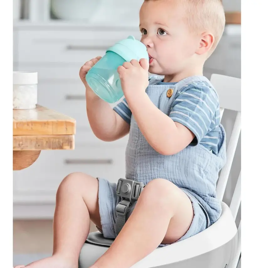 Skip Hop Çerez Kaplı Suluk - 5