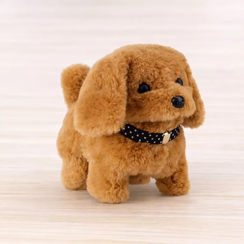 Toycraft Display Akıllı Köpek Sesli Pilli - 4