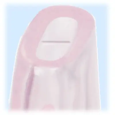 Wee Baby Colorful Akıtmaz PP Alıştırma Bardağı 240 ml - 5
