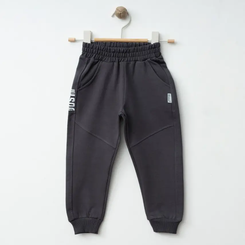 Winimo Erkek Eşofman Altı Be Cool Baskılı Füme - 1