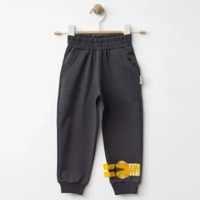 Winimo Erkek Eşofman Altı Kaplan Baskılı Füme - 5