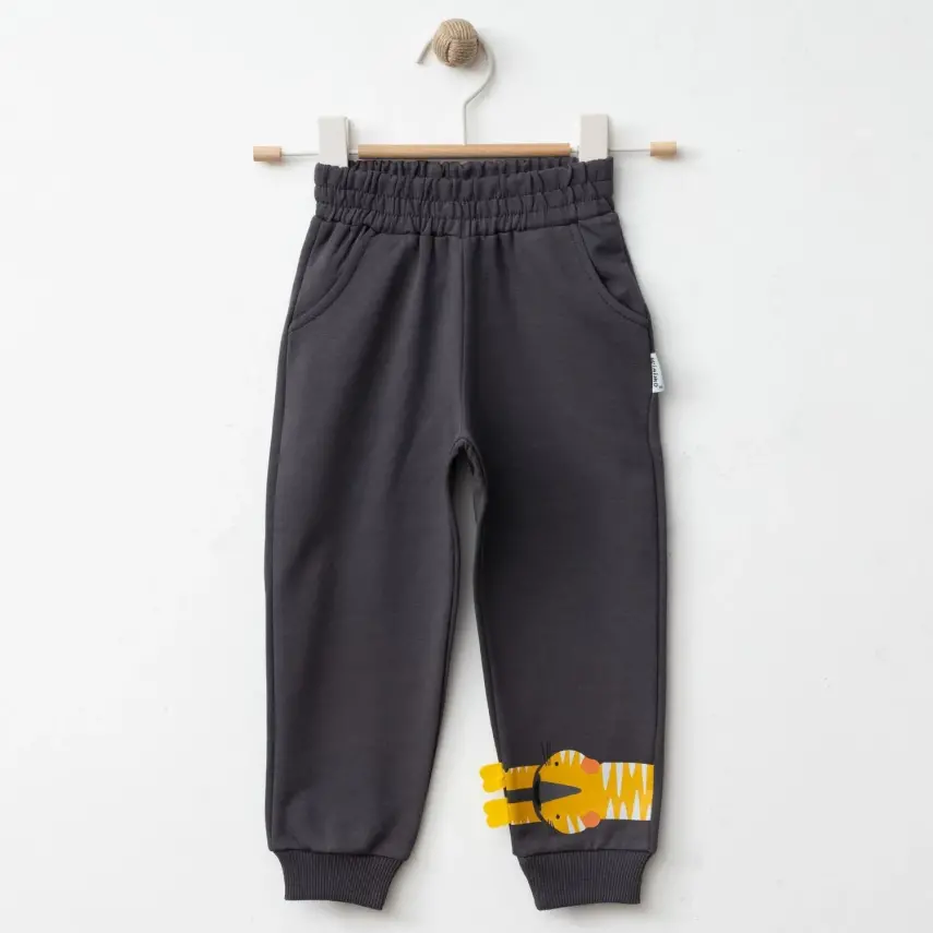 Winimo Erkek Eşofman Altı Kaplan Baskılı Füme - 11