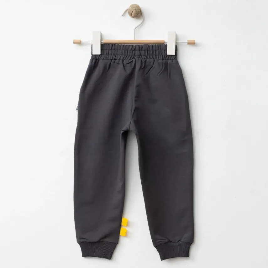 Winimo Erkek Eşofman Altı Kaplan Baskılı Füme - 6