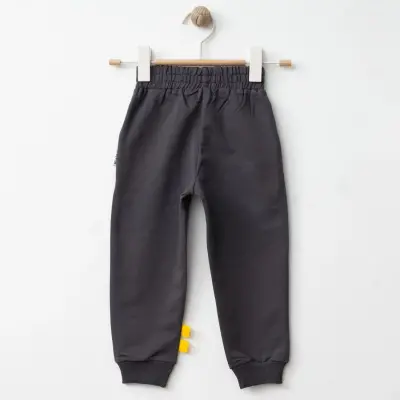 Winimo Erkek Eşofman Altı Kaplan Baskılı Füme - 9