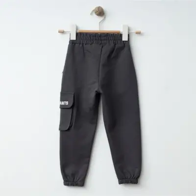 Winimo Erkek Eşofman Altı Körüklü Cepli Füme - 2