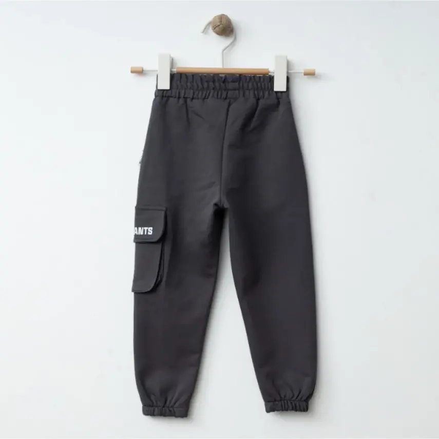 Winimo Erkek Eşofman Altı Körüklü Cepli Füme - 2