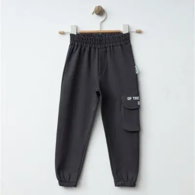 Winimo Erkek Eşofman Altı Körüklü Cepli Füme 